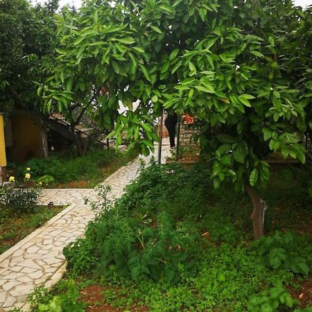 Apartment Dalmatini Tar-Vabriga Bagian luar foto